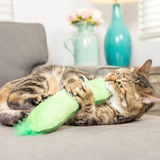 Kittybelles Pickle