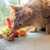 Kittybelles Taco