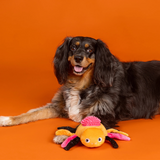 Fringe Stop Bugging Me Dog Toy