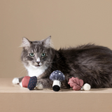 Fringe Forest Finds Mini 3pc Cat Toys
