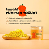 Arya Sit Freeze Dried Pumpkin Yogurt