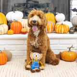 Fringe On My Last Straw Plush Toy