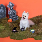Fringe Witching Hour Dog Toy 3 Pack