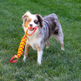 Kong Maxx Tug Large Dog Toy