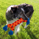 Kong Rope Rally Bone Medium Dog Toy