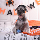 Hug Smart Howloween Night Vampire Dog Toy Ball
