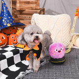 Witchy Dog Crystal Ball