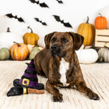Fringe If The Broom Fits 2pc Wear Then Play Toy Set