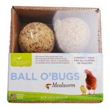 Pacific Bird & Supply Chicken Grub Ball O' Bugs 4pk