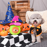 Hug Smart Howloween Night Witch Avocado Dog Toy