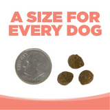 NutriSource GF Seafood Select Small Breed Dog