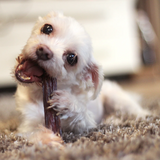 Natural Dog 6in Gullet Sticks 6z