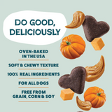 Shameless Pets Pumpkin Nut Partay Soft Baked 6oz