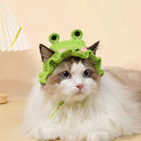 Crochet Knit Cat Hat