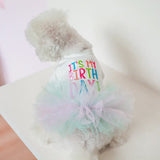 Its My Birthday Tutu Dress