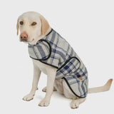Chilly Dog Grey Blue Plaid Coat