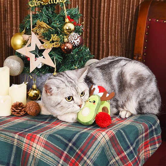 Two cats playing with a toy in front of a decorated Christmas tree.