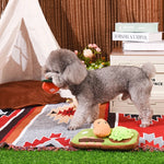 Small dog playing with a toy on a colorful rug in a cozy room.