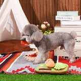 Small dog playing with a toy on a colorful rug in a cozy room.