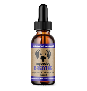Breathe Mushroom Extract & Adaptogen Tincture