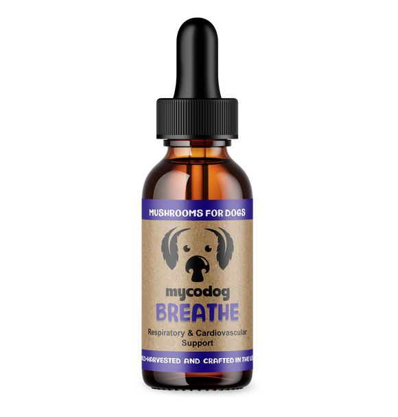 Breathe Mushroom Extract & Adaptogen Tincture