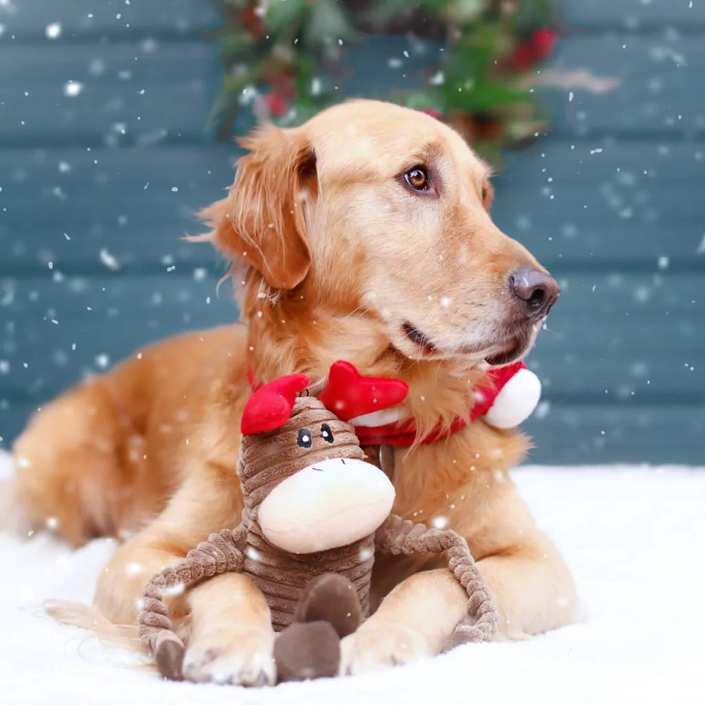 Dog wearing a reindeer costume with snow falling in the background