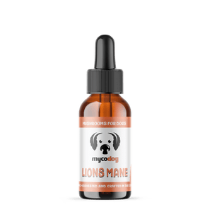Lion’s Mane Dual Extract of Lion’s Mane Mushrooms