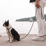 EzyDog Luca Leash