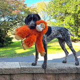 Tall Tails Dog Rope Orangutan