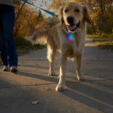 Nite Ize Spotlit Collar Light Disc-O Rechargeable XL