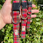 Red plaid dog collar and leash held in a hand with a green leafy background