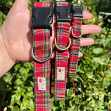 Red plaid dog collar and leash held in a hand with a green leafy background