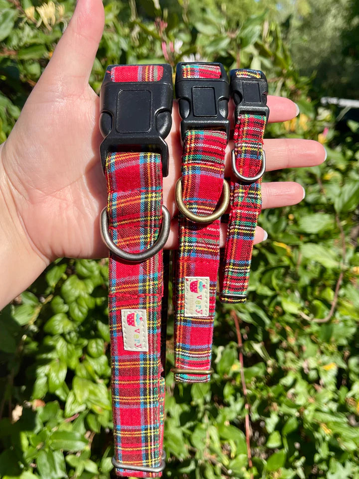 Red plaid dog collar and leash held in a hand with a green leafy background