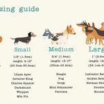 Vintage-style dog sizing guide with illustrations and text