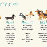Vintage-style dog sizing guide with illustrations and text
