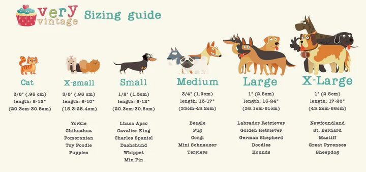 Vintage-style dog sizing guide with illustrations and text