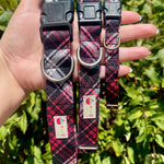 Three plaid dog collars held in a hand with a green leafy background