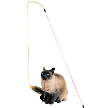 Cat playing with a toy wand on a white background