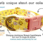 Dog collar with features highlighted on a white background