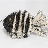 Da Zebra Fish