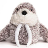 Fab Dog  Fluffy Walrus