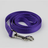 Locatis Lead Purple