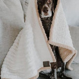 Tall Tails Blanket Sherpa Bone