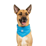 Canada Pooch Chill Seeker Bandana Blue