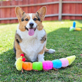 Zippy Paws Caterpillar Squeaker Large