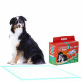 WizSmart Train Pads Ultra XL