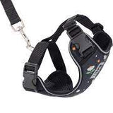RC Pets Adventure Kitty Harness Daisies