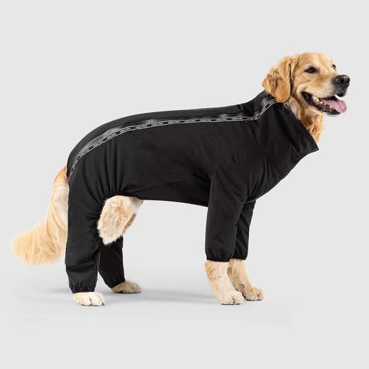 Canada Pooch Slush Suit Black*