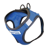 Bay Dog Liberty Harness Blue